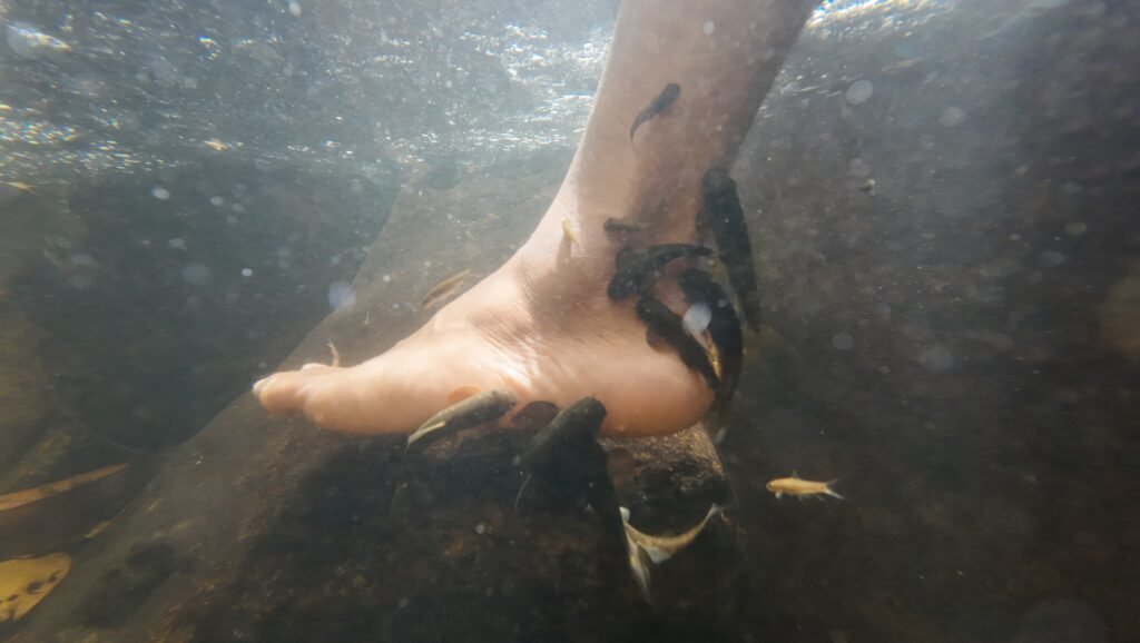 A traveler dipping his feet into a crystal-clear, icy mountain stream for a natural fish therapy session in the Sri Lankan wilderness.