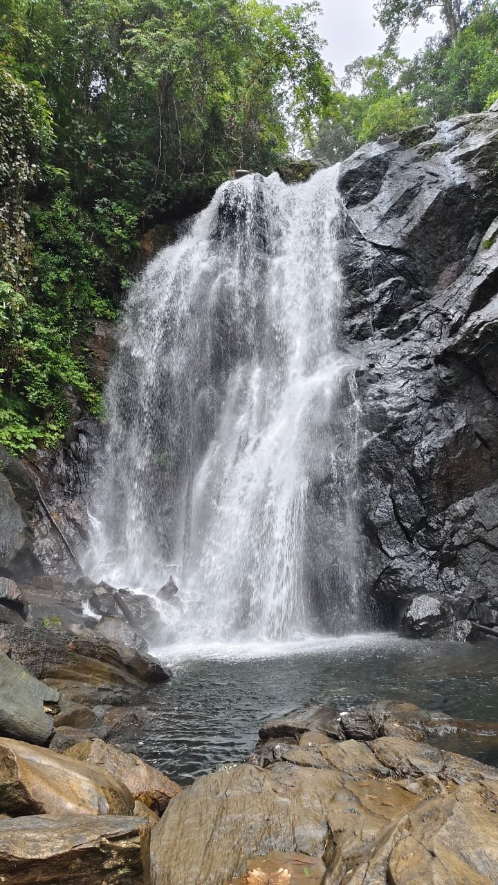 Rainforest Rhythms Option 07: Twin Waterfall Experience + Lankagama White Water Rafting - Image 4