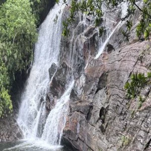 Rainforest Rhythms: Single Waterfall Tour
