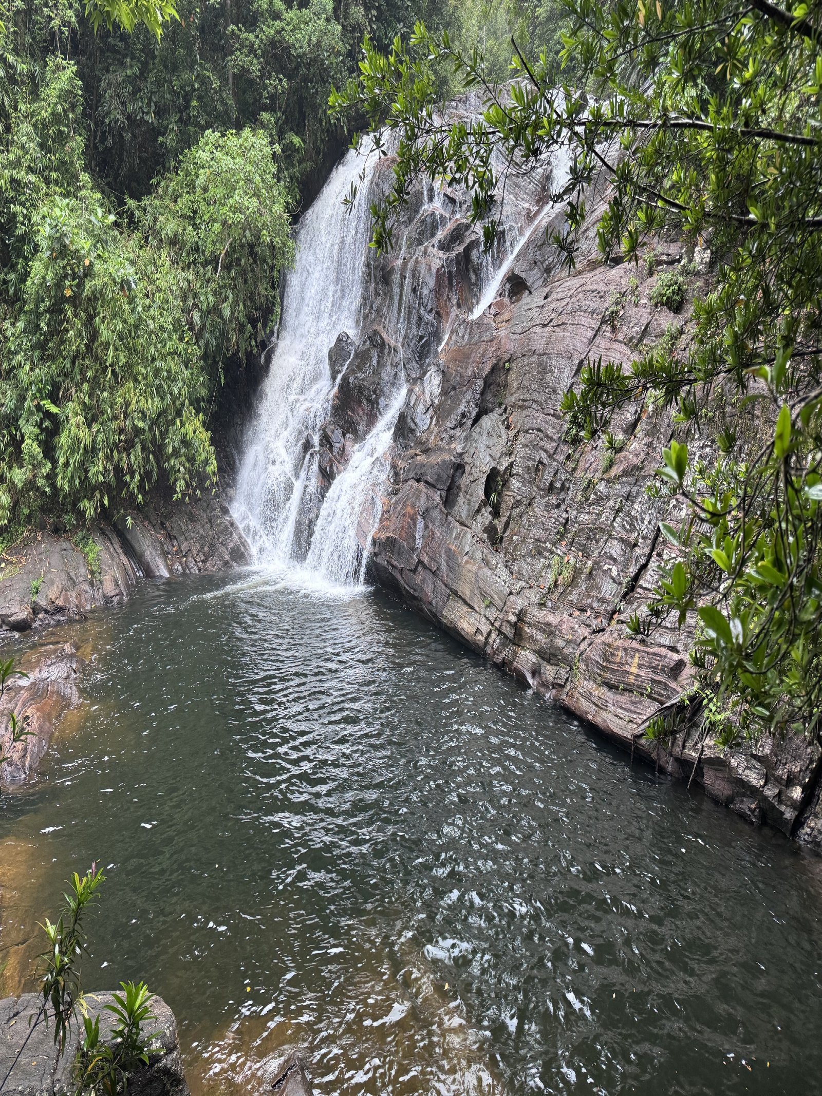 Rainforest Rhythms Option 02: Full Day Waterfall Tour - Image 2