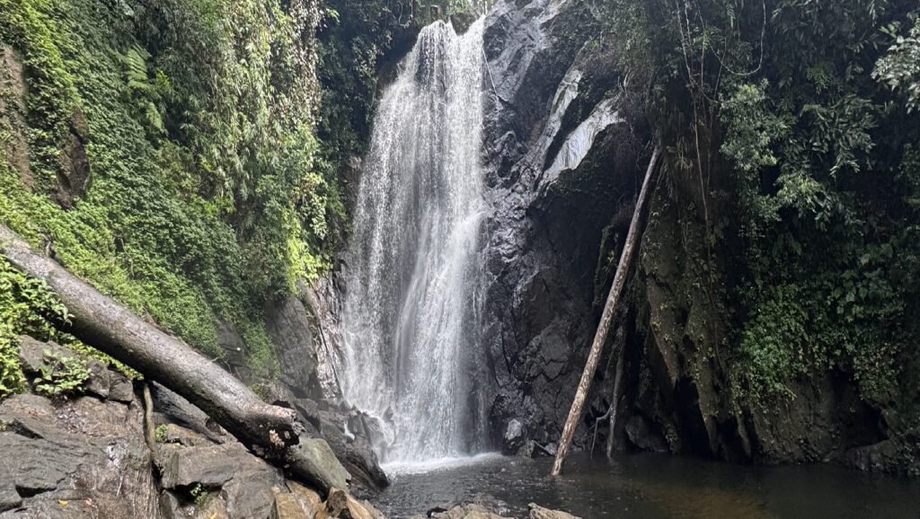 Sinharaja is home to a large number of magnificent waterfalls like this, which cascade through dense, emerald-green rainforest