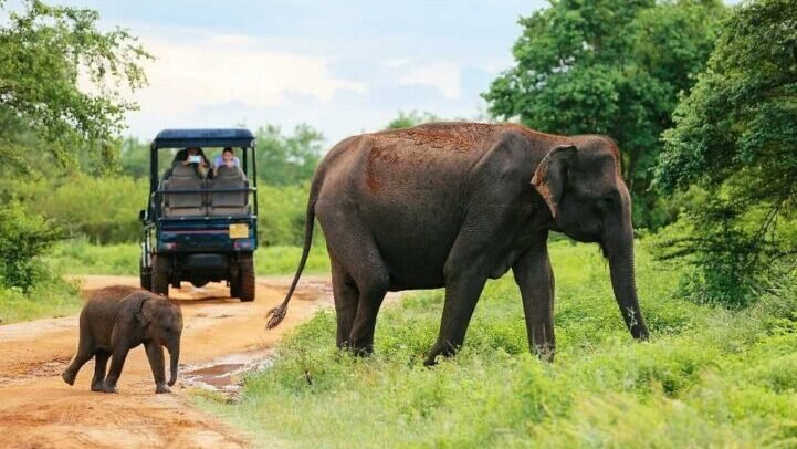 desh-touer-in-sri-lanka (1)