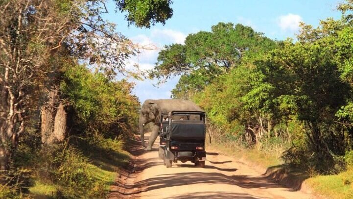 desh-touer-in-sri-lanka