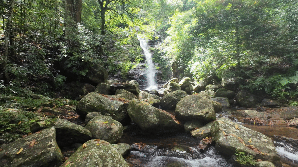 A distant view of a majestic white waterfall tucked deep within the dense, emerald-green canopy of a Sri Lankan rainforest
