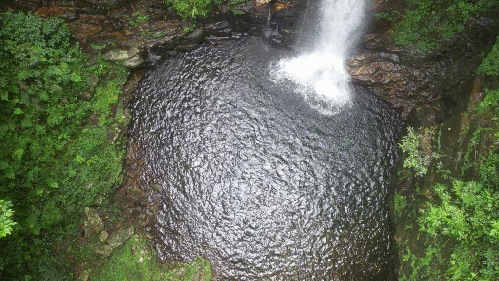 A high-angle bird's-eye view of a deep, turquoise natural swimming pool formed at the base of a waterfall in the jungle