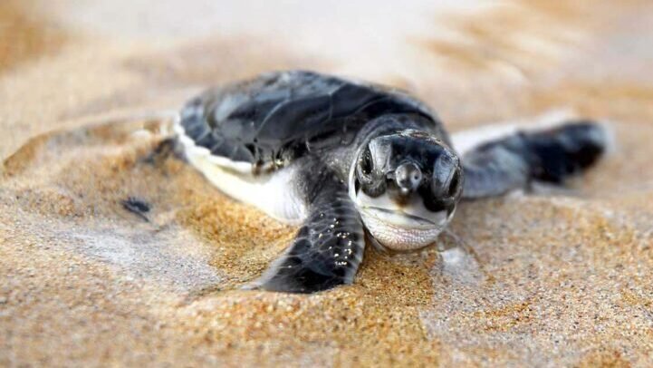 304896082_174315645108629_7110790478779184317_n