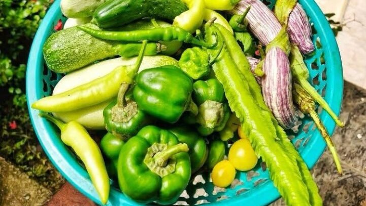 WhatsApp Image 2025-11-16 at 10.11.46 AM (5)