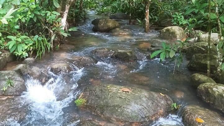 WhatsApp Image 2025-11-16 at 10.11.46 AM