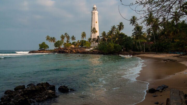 shutterstock_1245427807