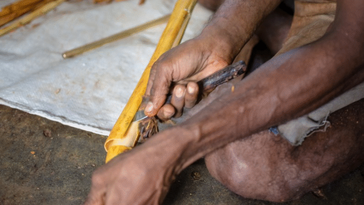 161398565_2872098686444662_6941463057239180935_n