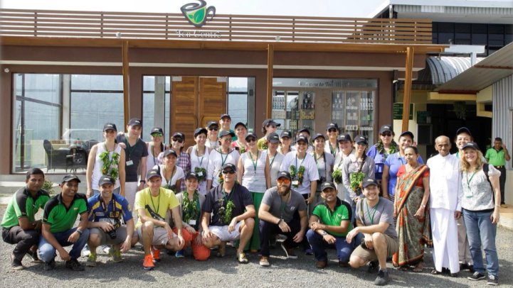 Make your own tea programme PDF_1