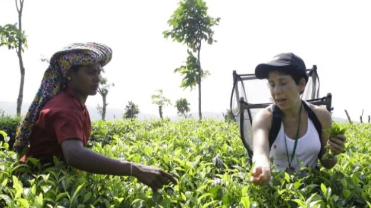 Make your own tea programme PDF_6