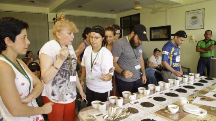 Make your own tea programme PDF_9