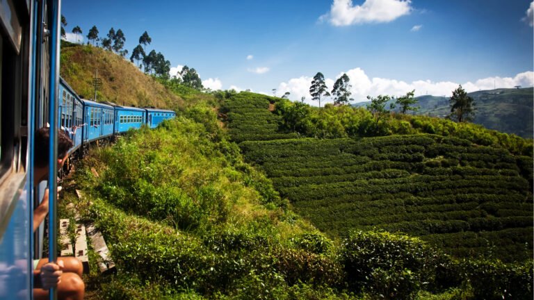Train