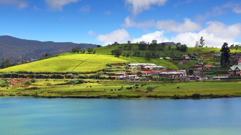nuwara-eliya