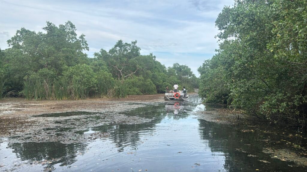 A peaceful boat safari through the mangroves of Kalametiya, showcasing the calm and undisturbed natural beauty of this southern wetland